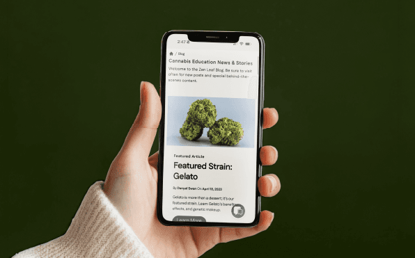 Read our latest blog posts