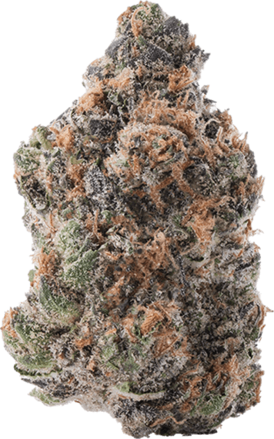 Purple Lemon Punch image 1